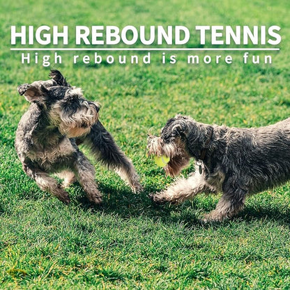 ALL FOR PAWS 2.5-inch Tennis Balls for Dogs, Fetch Toys for Medium Large Dogs, Bouncy & Durable Tennis Balls for Ball Launcher Toy, 6 Pack Fetch Toy for Outdoor Play