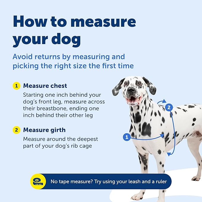 PetSafe Easy Walk No-Pull Dog Harness - The Ultimate Harness to Help Stop Pulling - Take Control & Teach Better Leash Manners - Helps Prevent Pets Pulling on Walks, Petite, Black/Silver