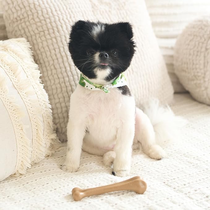 SPOT Bam-Bones Bone - Made with Strong Bamboo Fiber, Durable Long Lasting Dog Chew for Light to Moderate Chewers, Great Toy for Adult Dogs & Teething Puppies under 25lbs, 5.75in, Chicken Flavor