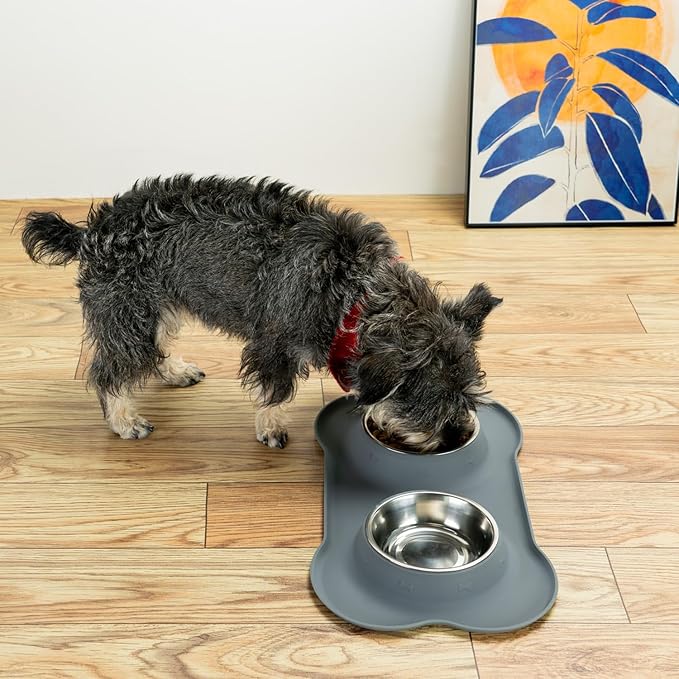 Stainless Steel Dog Bowls with Non-Slip Silicone Mat, Spill Proof Food & Water Bowls Set, Easy Clean Puppy Food Dish, Dishwasher Safe, Suitable for Dogs Cats Pet Under 20lbs, Small, Grey