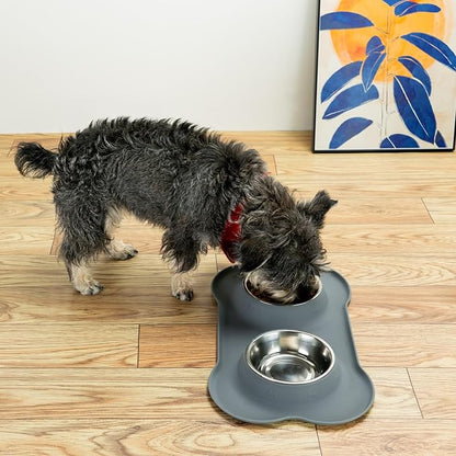 Stainless Steel Dog Bowls with Non-Slip Silicone Mat, Spill Proof Food & Water Bowls Set, Easy Clean Puppy Food Dish, Dishwasher Safe, Suitable for Dogs Cats Pet Under 20lbs, Small, Grey
