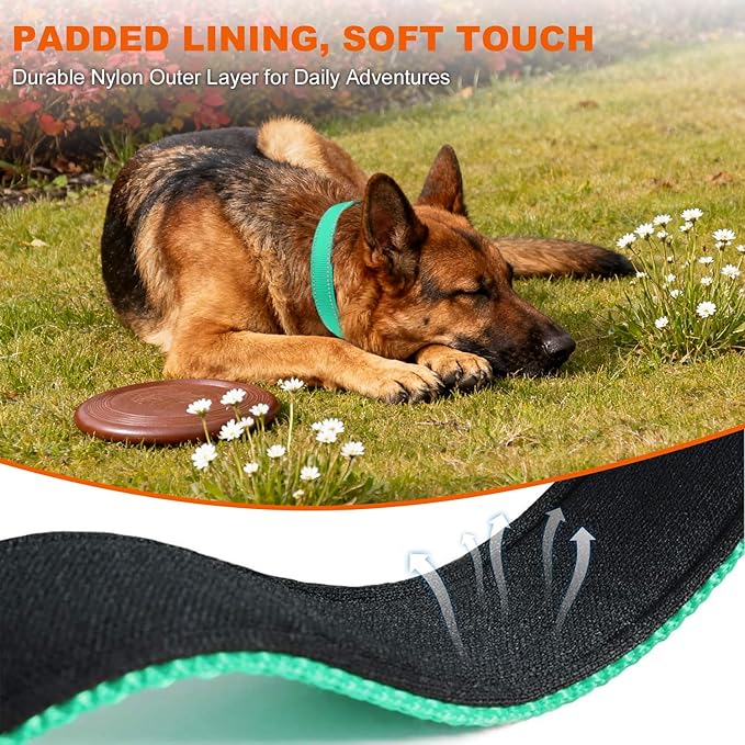 Taglory Reflective Dog Collar with Safety Locking Buckle, Soft Neoprene Padded Dog Collar for Large Dogs, Metal D-Ring, Adjustable Nylon Neck Strap for Daily Walking, Training & Running, Turquoise, L