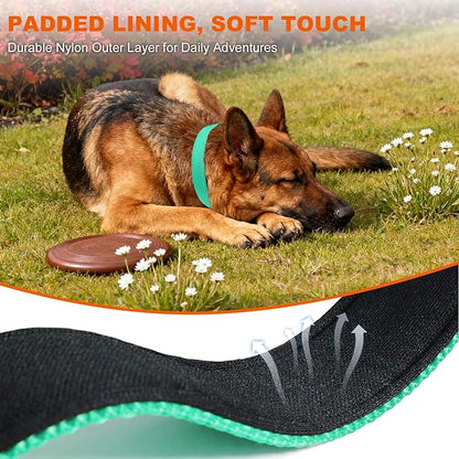 Taglory Reflective Dog Collar with Safety Locking Buckle, Soft Neoprene Padded Dog Collar for Large Dogs, Metal D-Ring, Adjustable Nylon Neck Strap for Daily Walking, Training & Running, Turquoise, L
