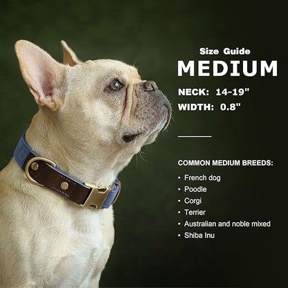Didog Soft PU Leather Dog Collars for Medium Dogs,Classic Adjustable Dog Collars with Quick Release Metal Buckle,Easy Clean and Comfortable with Nylon Lining,Blue,M Neck 14-19"