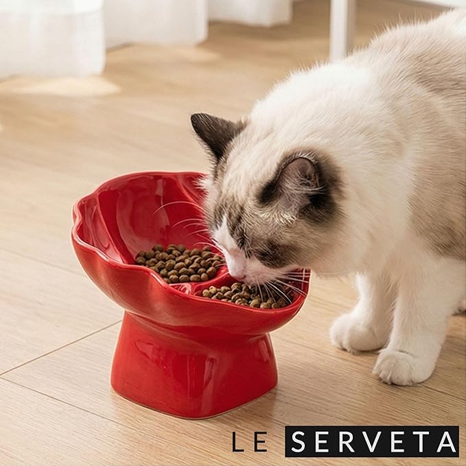 Ceramic Raised Pet Slow Feeder Bowl, Elevated Cat and Dog Slow Feeder, Decorative Standing Doggy Design, Anti-Slip Base, Anti-Vomiting (Red)