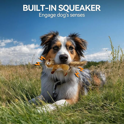 ALL FOR PAWS Squirrel Squeaky Doy Toy, Squirrel Dog Toy for Small Medium Breed, Puppy Fetch Toy with Squeaker, Plush Chew Dog Toy, 5.9 x 4.3 x 2.8 inches, Classic-Chipmunk S