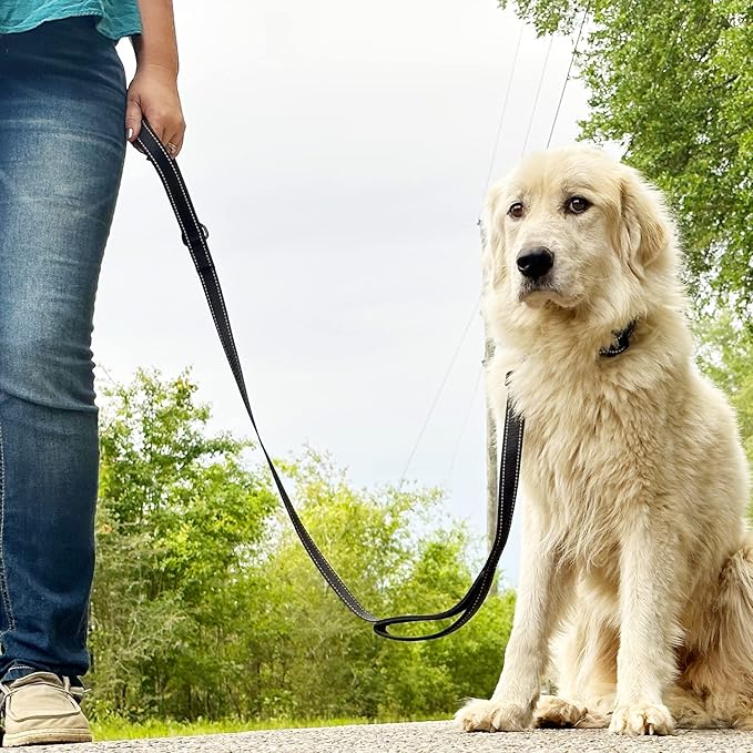 Joytale Dog Leash Heavy Duty for Large Dogs that Pull, Double Handle for Traffic Control, Double-Sided Reflective Leashes for Large Medium Dogs Night Safety, 6FT, Black