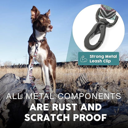 Embark Adventure Dog Leash – Colorful, Strong & Sturdy, 5 Ft, Suitable for Small, Medium & Large Breeds, Aztec