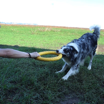 Dog Toys, Dog Chew Toys for Aggressive Chewers,Flying Discs for Medium/Large Breeds. Floating Dog Ring Toys for Throwing, Catching, Grabbing. (Large)