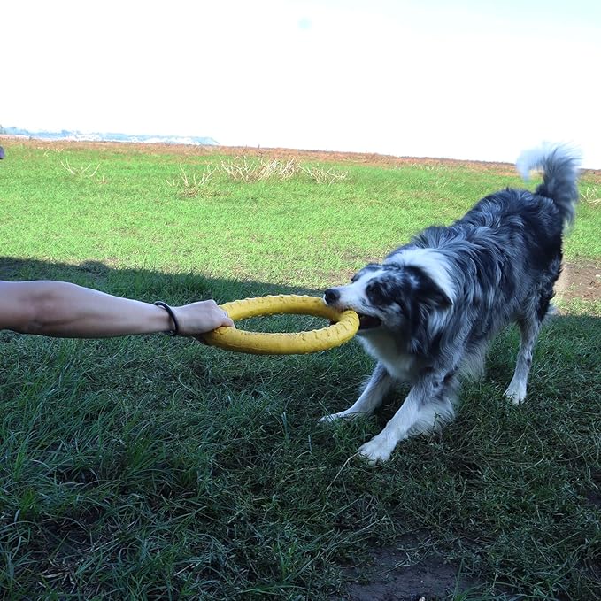 Dog Toys, Dog Chew Toys for Aggressive Chewers,Flying Discs for Medium/Large Breeds. Floating Dog Ring Toys for Throwing, Catching, Grabbing. (Small)
