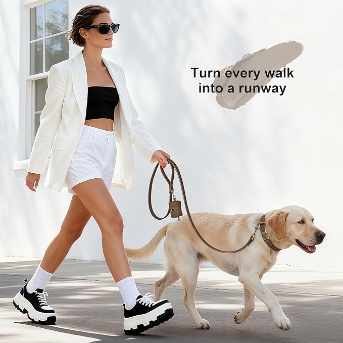 Didog Soft PU Leather Dog Collar, Stylish Quick Released Dog Collar for Large Dogs, Easy Clean Adjustable Pet Collar for Daily Walking, Brown, L Fit 16-22" Neck