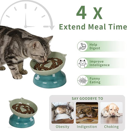 Slow Feeder Cat Bowl, Ceramic Cat Slow Feeder,Elevated Anti Vomiting Whisker Friendly Tilted Design,for Dry and Wet Food,Dishwasher Safe (Green)