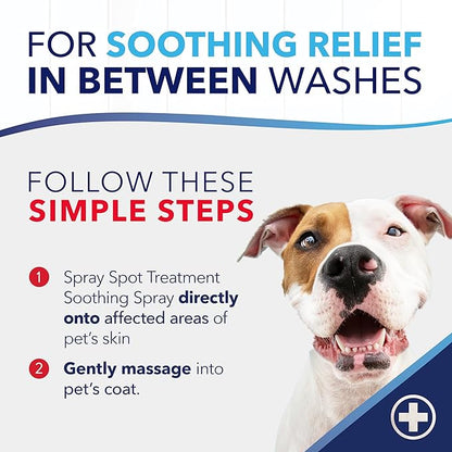 TropiClean Oxymed Cat & Dog Medicated Shampoo for Itchy Skin and Oxymed Medicated Itch Relief Spray Set, Skin Soothing Oatmeal Shampoo for Dogs & Cats | Set of 2
