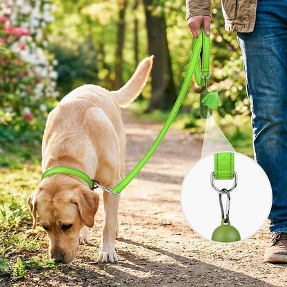 Joytale Dog Leash, 4 FT Double-Sided Reflective, Padded Handle Nylon Heavy Duty Leashes for Small Dogs Walking, Green