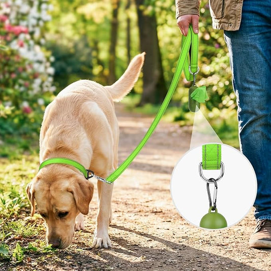 Joytale Dog Leash, 4 FT Double-Sided Reflective, Padded Handle Nylon Heavy Duty Leashes for Small Dogs Walking, Green