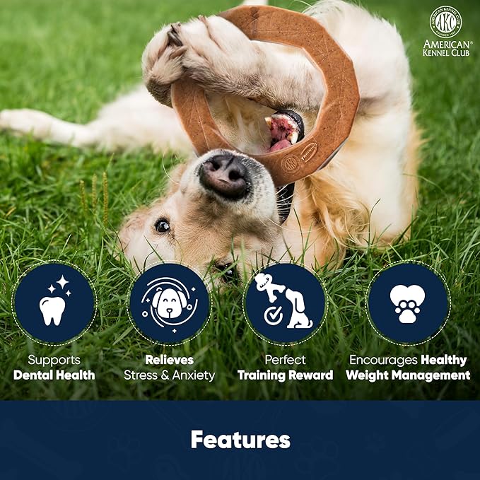 American Kennel Club Training Dog Chew Toy, Ring Dog Toy, Durable Dog Toy for Moderate Chewers, Peanut Butter Scented for Long-Lasting Engagement, Supports Dental Health