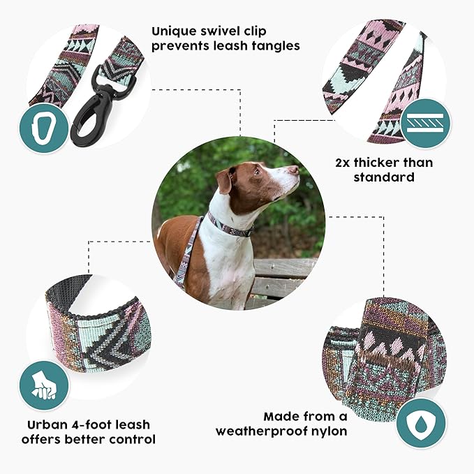 Embark Adventure Dog Leash – Colorful, Strong & Sturdy, 5 Ft, Suitable for Small, Medium & Large Breeds, Aztec
