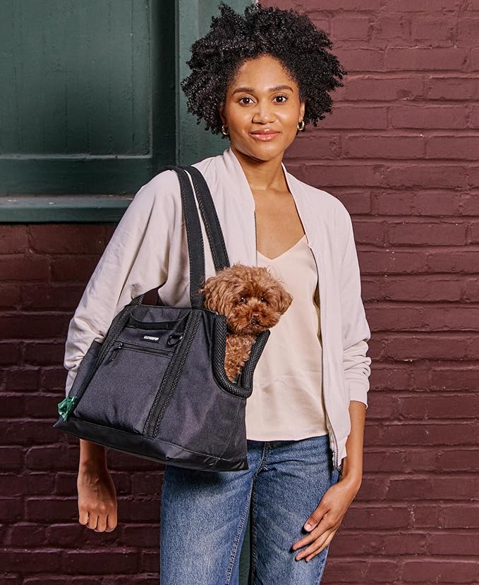 Cleverpup Transit Tote Dog Carrier for Small Dogs Under 8 lbs, 16x11x8 Soft-Sided 4-Pc Set with Waterproof Base, Plush Insert, Food Pouch, Mesh Head Opening - Small, Graphite Graphite