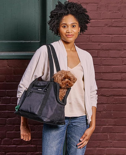 Cleverpup Transit Tote Dog Carrier for Small Dogs Under 8 lbs, 16x11x8 Soft-Sided 4-Pc Set with Waterproof Base, Plush Insert, Food Pouch, Mesh Head Opening - Small, Graphite Graphite