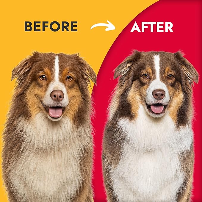 KONG Double-Sided Flexible Slicker Brush – De-Shedding & Detangling Tool, Padded Grip, Long Metal Pins, Flexible Head, for Medium to Large Dogs with Medium to Long Coats, Red/Gray