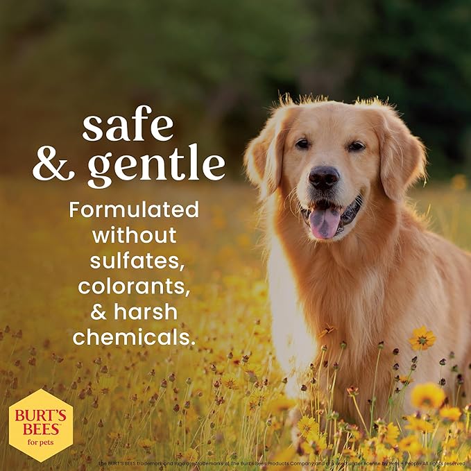 Burt's Bees Dog Wipes for Daily Grooming - Deodorizing Pet Wipes for Dogs, Cleans Paws & Face - A Waterless Bath & Dog Grooming Supply with Witch Hazel - Plant Based Dog Wipes, 100 Count