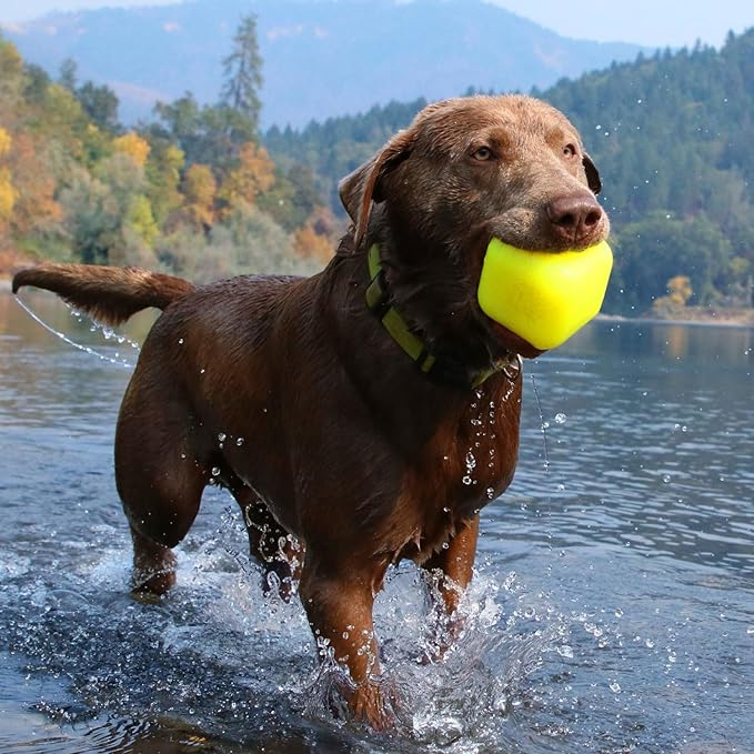 Ruff Dawg Cube XL 3.5 Indestructible Dog Toy – Heavy-Duty Rubber Fetch & Chew Toy for Aggressive Chewers – Erratic Bounce, Floats, BPA & Latex Free – Made in USA
