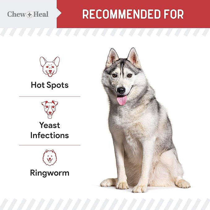 Chew + Heal Labs Dog Paw Wipes Antibacterial 100 Count - Antifungal Wipes for Dogs with 2% Chlorhexidine and 1% Ketoconazole - Good for All Breeds - Made in the USA