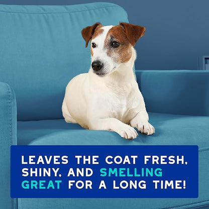 DOUXO® Skin & Coat SPA - Multi-Action Odor Control Spray for Dogs, 11.5 fl oz, Deodorizes, Neutralizes Unpleasant Odors, Leaves The Coat Fresh, Smelling Great, Skin-Friendly Ultra-Freshening Formula