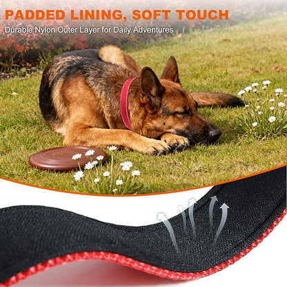 Taglory Reflective Dog Collar with Safety Locking Buckle, Soft Neoprene Padded Dog Collar for Large Dogs, Metal D-Ring, Adjustable Nylon Neck Strap for Daily Walking, Training & Running, Red, L