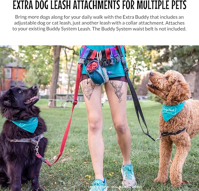 The Buddy System Accessories for Our Dog Leashes Made in USA (Extra Buddy, Regular Dog Black)