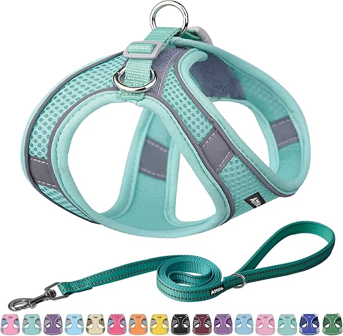 AIITLE Easy Walk Dog Harness and Leash Set - Pet Supply No Pull, Step in Adjustable Dog Harness with Padded Vest, No Choke Over, Easy to Put on Medium Dogs Pure Turquoise L
