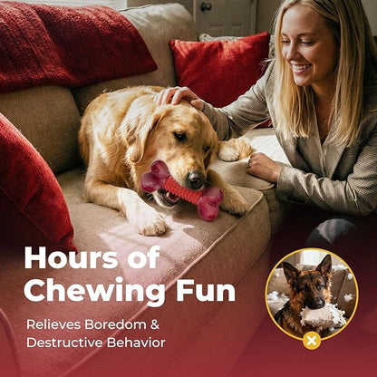 Apasiri 2-Pack Tough Dog Toys for Aggressive Chewers Large Breed, Dogs Chew Toys for Large Medium Dogs, Nylon and Rubber Dog-Bones for Teething Chew, Beef Flavor, for Doggo 20-80 lbs