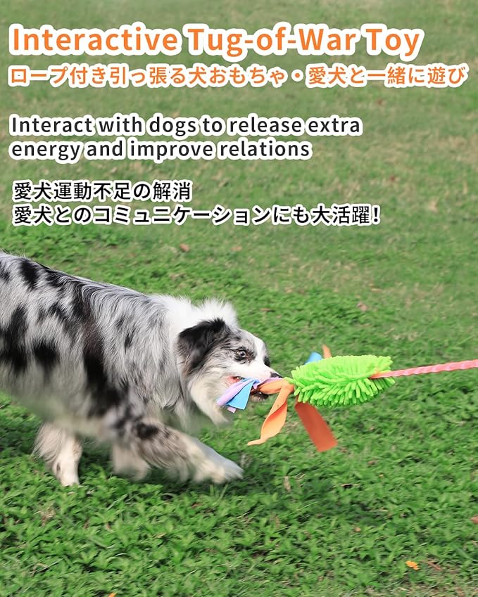 SCHITEC Tug Toy for Dogs, Bungee Tug of War Rope Toys with Squeaky Sound for Small Medium Large Dog, Puppy Training Pull Toy for Exercise & Interactive Play Games