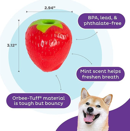 Outward Hound by Planet Dog Foodies Strawberry Treat-Dispensing Dog Chew Toy, Pink