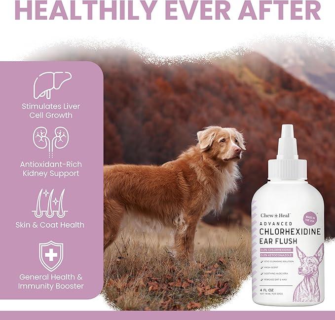Chew + Heal Labs Dog Ear Cleaner - Medicated Dog Ear Buildup Drops for Dirt and Wax - 12 oz Advanced Flush with Chlorohexidine and Ketoconazole - Made in the USA