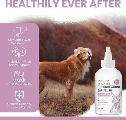 Chew + Heal Labs Dog Ear Cleaner - Medicated Dog Ear Buildup Drops for Dirt and Wax - 12 oz Advanced Flush with Chlorohexidine and Ketoconazole - Made in the USA