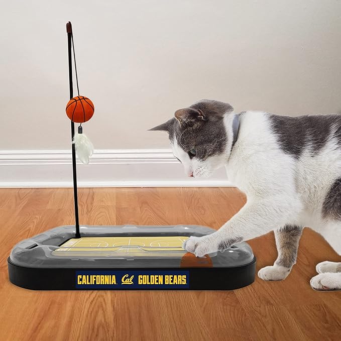 Cat Scratch Toy NCAA CALIFORNIA BERKELEY Golden Bears REVERSIBLE Basketball Court Felt/Cardboard Cat Scratcher. Interactive Cat Ball Bell. 6-in-1 CAT TOY: Cat Wand Poll, CATNIP-FILLED Plush Basketball