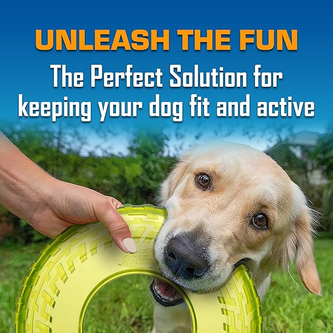 Nerf Dog Toy Gift Set, 5-Piece Set of Outdoor Dog Toys for Fetch, Includes 3 Squeak Tennis Balls and 2 Tire Flyers