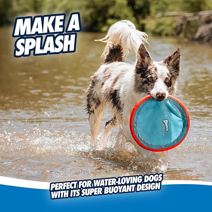 Chuckit! Paraflight Flying Disc Dog Toy - Water Floating Flyer - Durable Nylon Construction with Soft Rubber Edges - for Medium and Large Dogs - Size Large - 9.75" L x 9.75" W -,1 Count (Pack of 4)