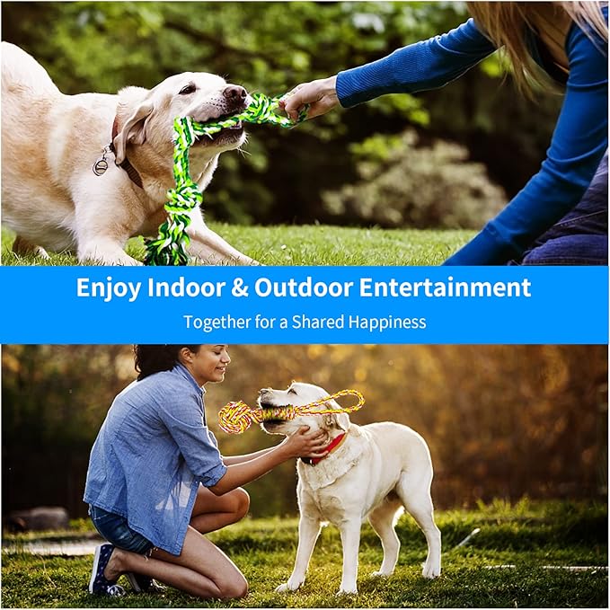 Spring Pole Dog Rope Toys, Tree Bungee Hanging Dogs Toy Interactive Tether Tug Indoor Outdoor Exercise Chewer Ropes Dog Toys, Pull Tug Solo Play Rope for Medium Large Dog