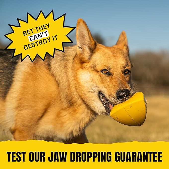 Virtually Indestructible Pyramid Dog Toy - Lifetime Replacement - Tough, Durable Chew Toy for Aggressive Chewers - Safe Non-Toxic Natural Rubber - Chew, Tug, Fetch - Med/Large Breed - 5"x4"