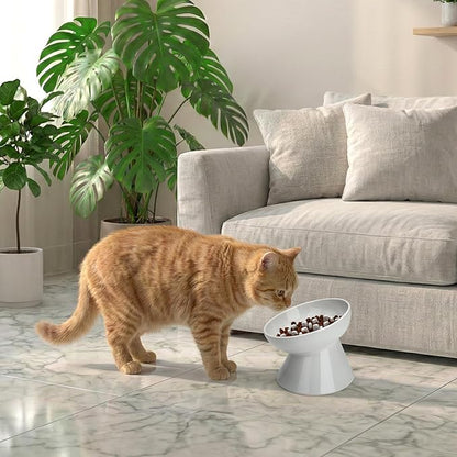 Ceramic Slow Feeder Cat Bowl, Tilted Elevated Cat Slow Feeder Bowl for Dry and Wet Food, Honeycomb Design for Preventing Vomiting & Bloating (White-Honeycomb Style, 5.9 inch)