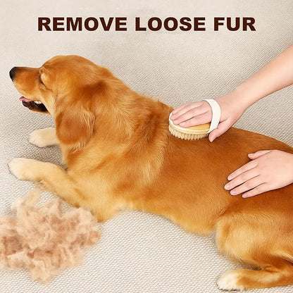 Dog Cat Brush for Short Hair Pet, TWPER Soft Boar Bristle Pet Palm Grooming Brush Gentle Hair Removal Massage
