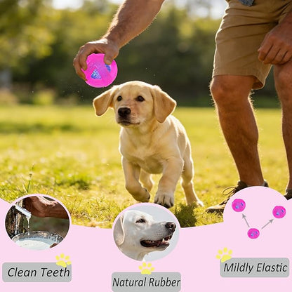 Dog Ball Toy for Chewing and Treat Dispensing - Tough Rubber Puppy Chew Toys Interactive Puzzle Balls for Teething & Slow Feeding, 3.5 Inch (Pink)