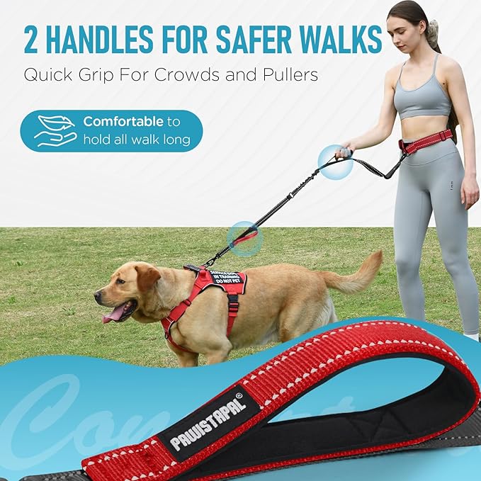 Hands Free Large Dog Leash, 6-8 FT Bungee Leash with Waist Belt for Dog Up to 150 lbs, Running Walking Jogging
