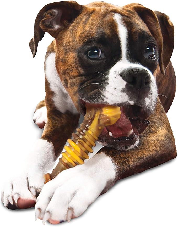 Nylabone Flavor Frenzy Dental Bone Power Chew Toy, Dog Toys for Aggressive Chewers, Philly Cheesesteak, X-Large - 50+ lbs, 1 Count