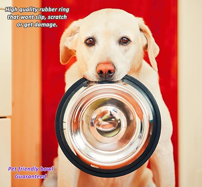 Estilo Stainless Steel Dog Bowls, 32 Oz (Set of 2)