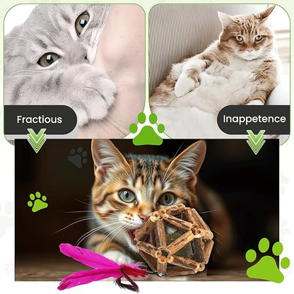 Natural Silvervine Catnip Ball, Feather and Bell Attached, for Indoor Cats, Cleaning Teeth Matatabi Cat Chew Toy. All Kitten Breeds.