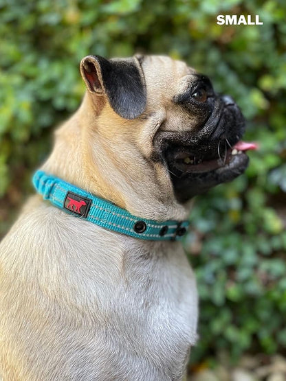 Tuff Pupper Heavy Duty Dog Collar with Handle | Ballistic Nylon Heavy Duty Collar | Padded Reflective Dog Collar with Adjustable Stainless Steel Hardware | Convenient Sizing for All Breeds