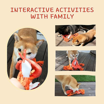 Squeaky Dog Toys, Rope Tug of War Dog Toys, Durable Lobster Plush Chew Toys, Dog Gifts for Puppy, Small Medium Large Dogs